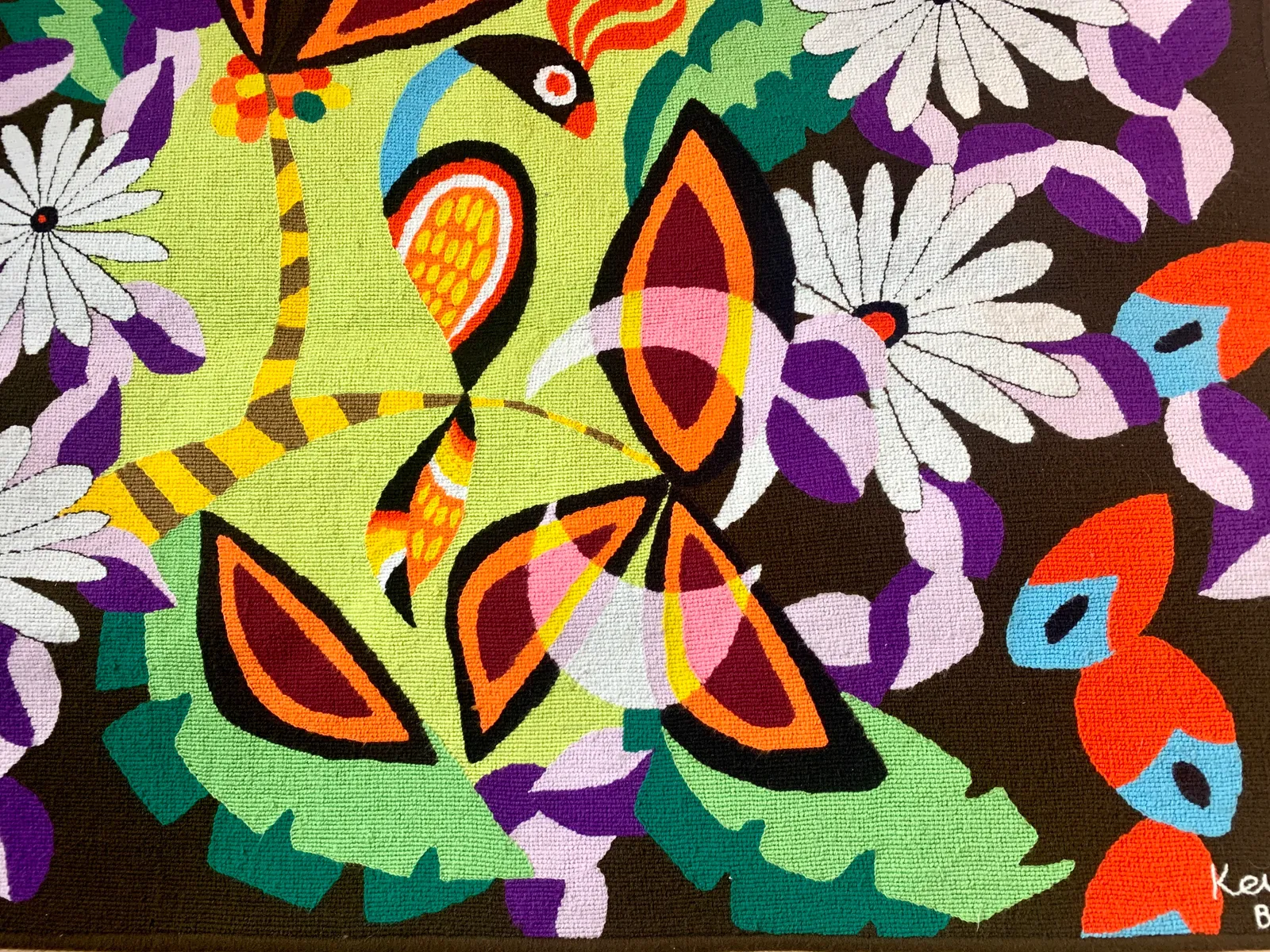 Kennedy Bahia and the Tropical Rhythm of Tapestry, photograph