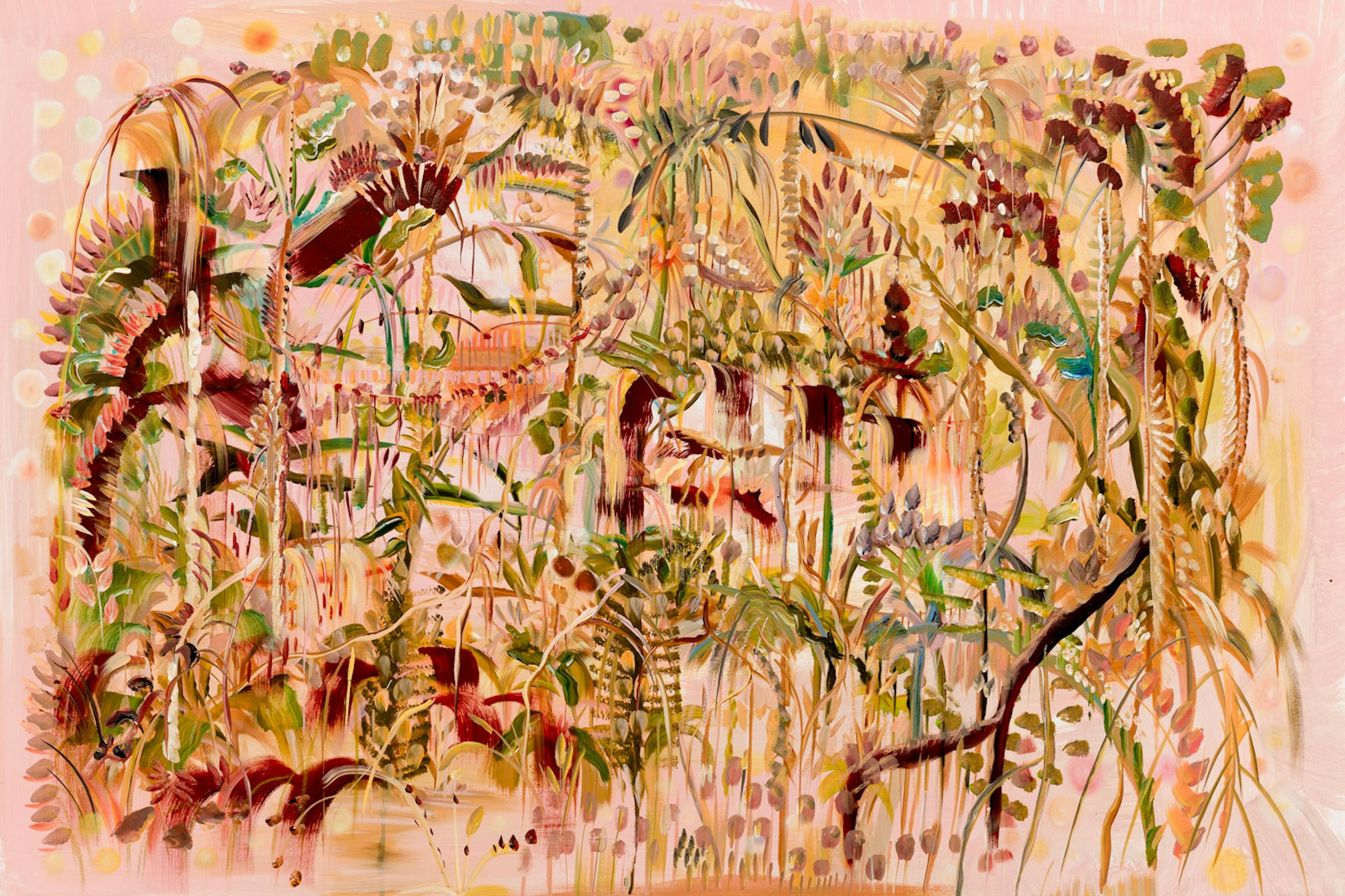 Expansive pink and ochre field animated by stems, leaves, seeds, and flowing marks by Bárbara Savannah